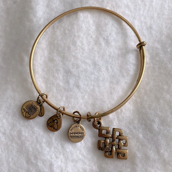 Alex and Ani Endless Knot Charm Bangle Bracelet, Gold - Picture 2 of 2